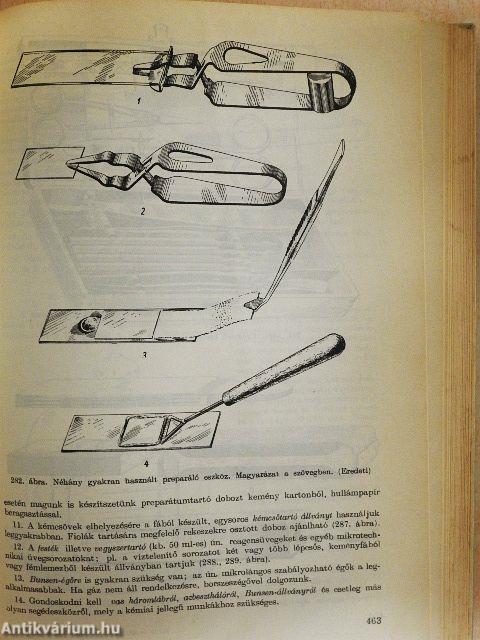 Növényszervezettani gyakorlatok