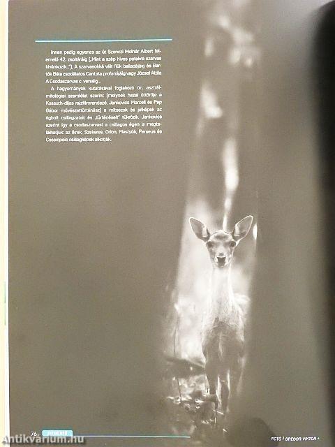 Varázslatos Magyarország 2020. III.