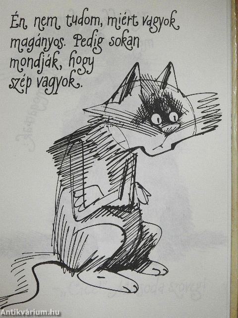 Kandúrhatnámságok