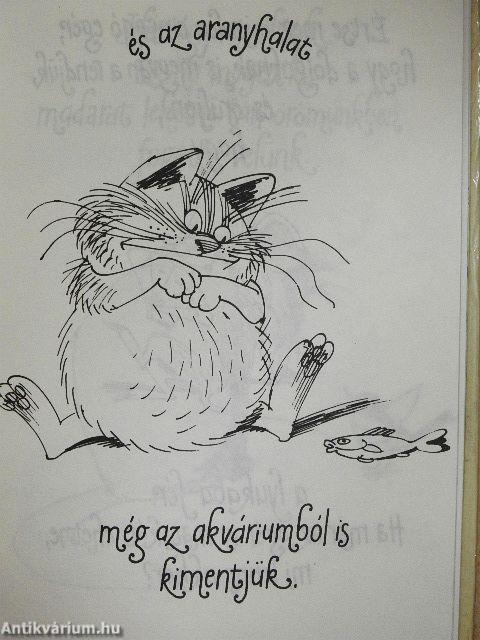 Kandúrhatnámságok