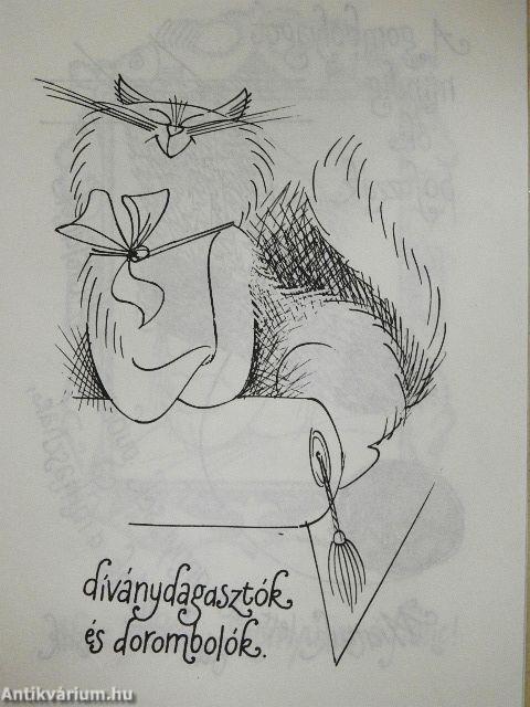 Kandúrhatnámságok