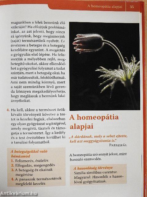 Homeopátia