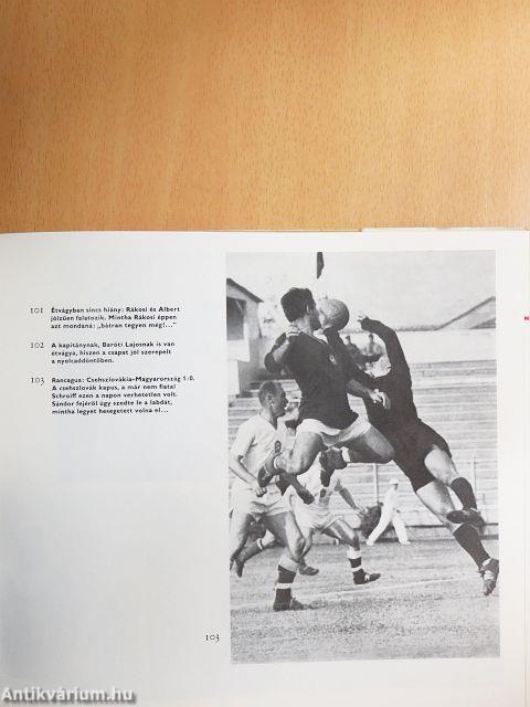 Labdarúgó világbajnokságok