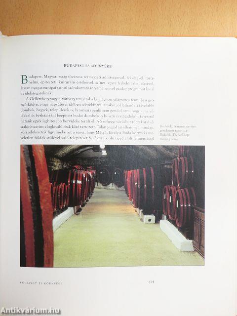 Pincejárás - From cellar to cellar