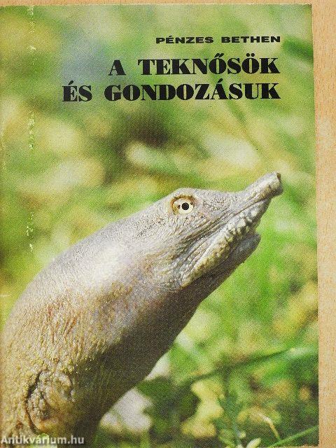 A teknősök és gondozásuk