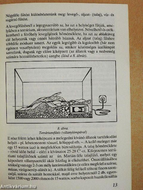 A teknősök és gondozásuk