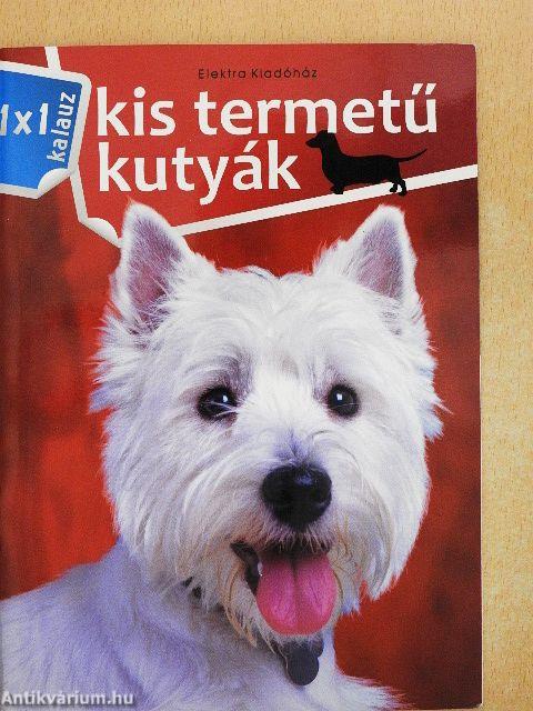 Kis termetű kutyák