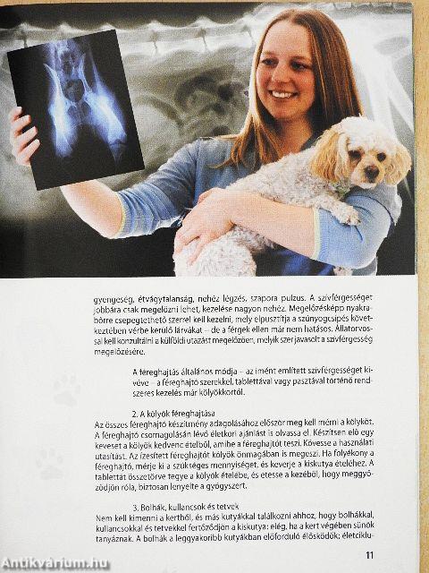 Kis termetű kutyák