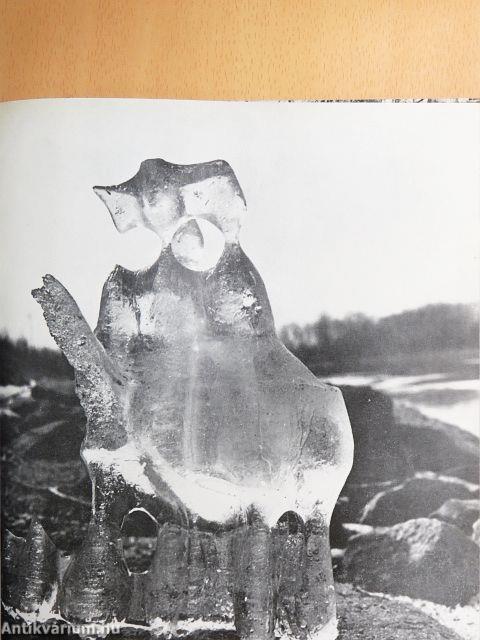 Barátom a természet