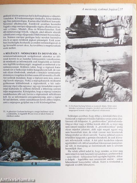 Az ember őstörténete