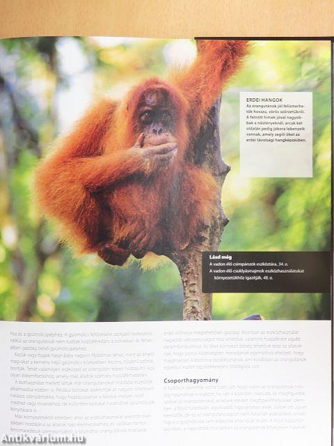 Bolygónk legokosabb állatai