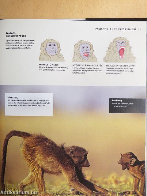 Bolygónk legokosabb állatai