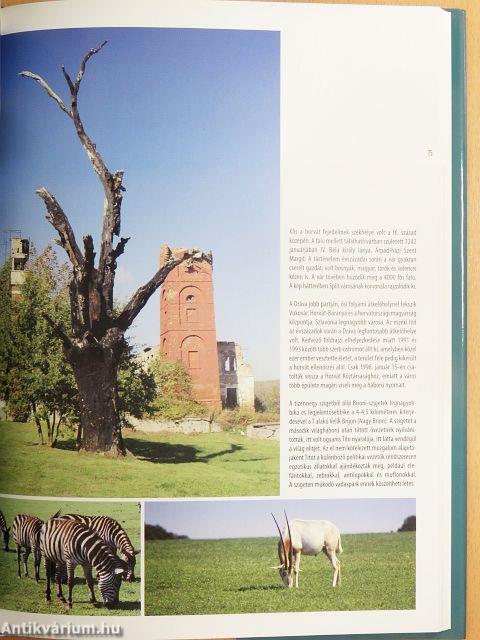 A mediterráneum világa