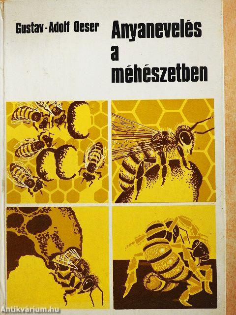 Anyanevelés a méhészetben