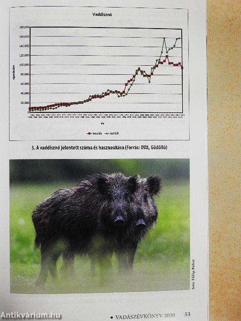 Vadászévkönyv 2020