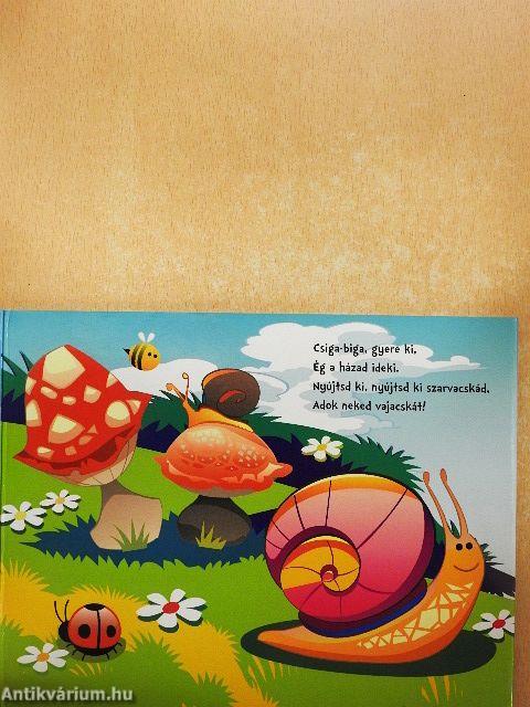 Róka, róka gyere ki!