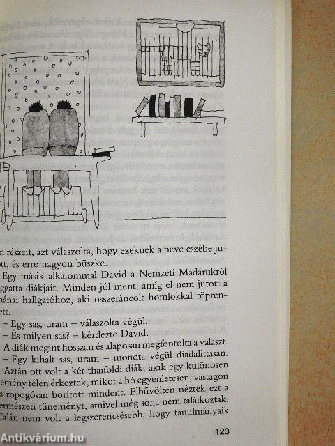 A Bárka születésnapja