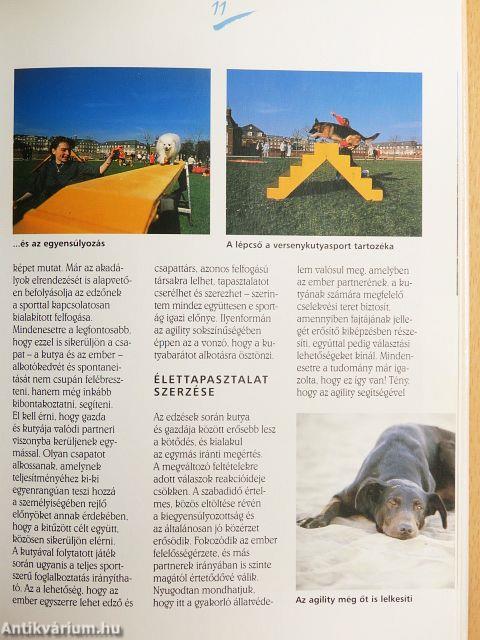 Játsszunk a kutyánkkal - Agility