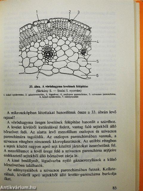 A mikroszkóp használata