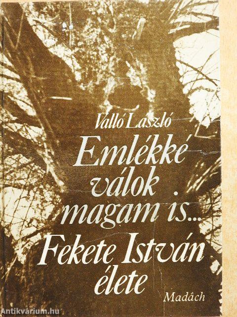Emlékké válok magam is...