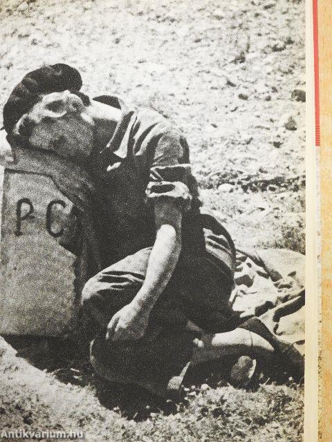 Robert Capára várva