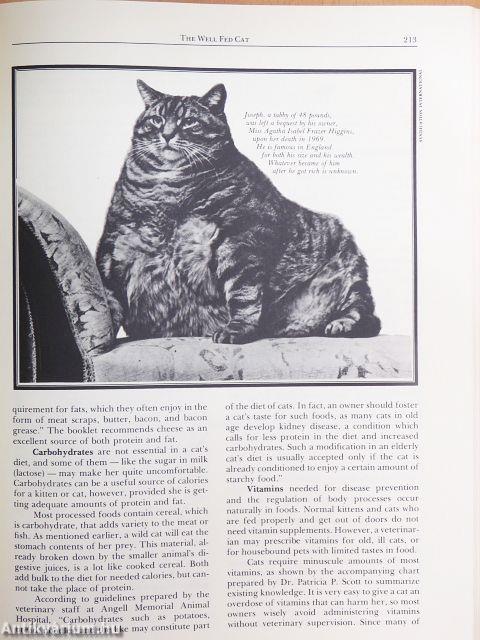 Cat Catalog