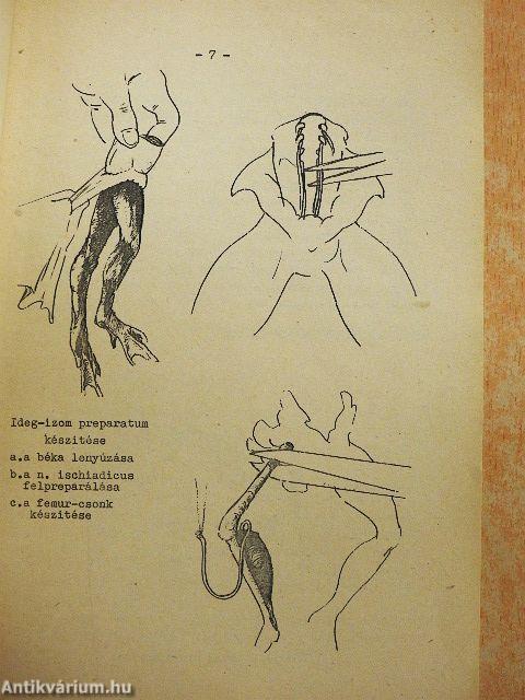 Élettani gyakorlatok