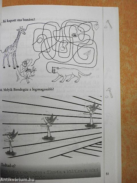 Bendegúz a fejét töri