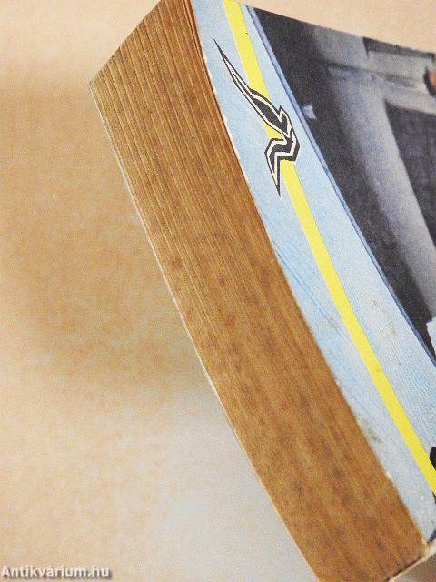 Idegen a kapu előtt