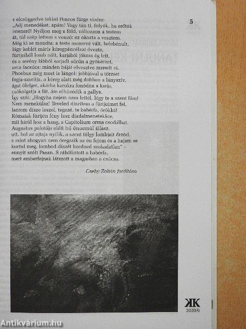 Korunk 2020. június