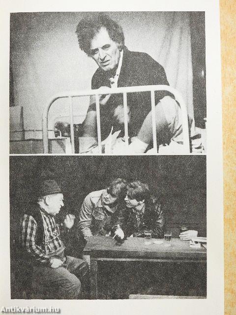 Rivalda 87-88