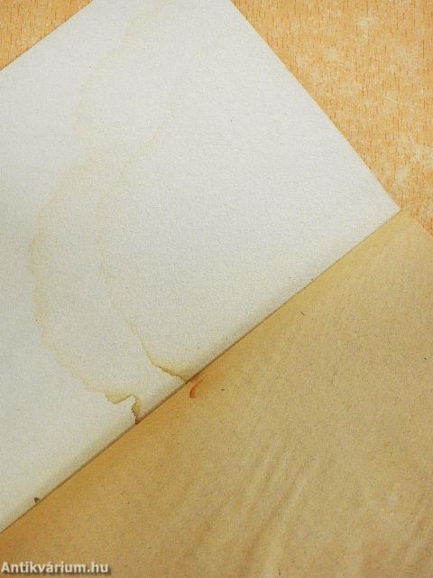 Kémek a Sasfészekben