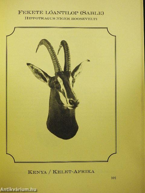 Trófeáim bemutatkoznak