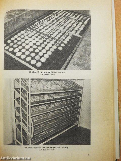 A fácán és vadászata