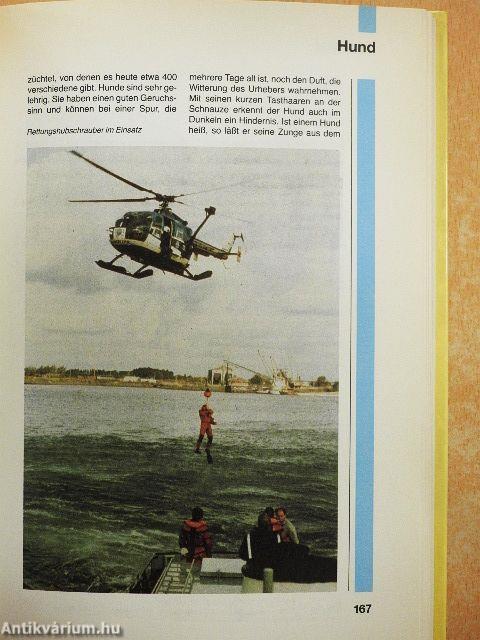 Das farbige Kinderlexikon