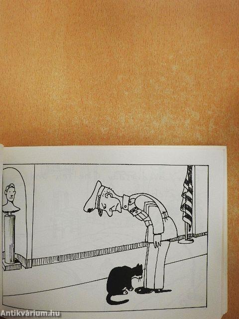 Socks Goes to Washington