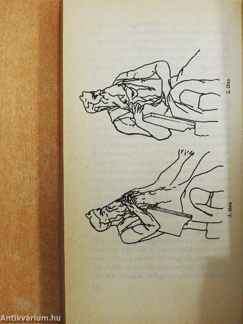 Mózes/Michelangelo Mózese