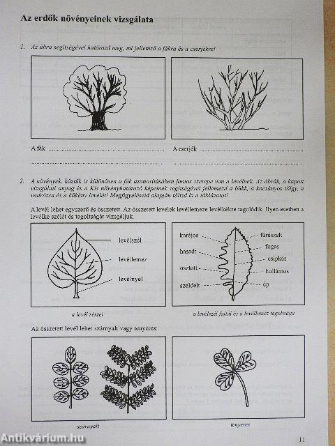 Biológia munkafüzet I.