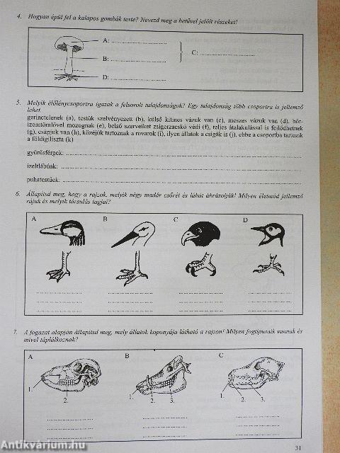 Biológia munkafüzet I.