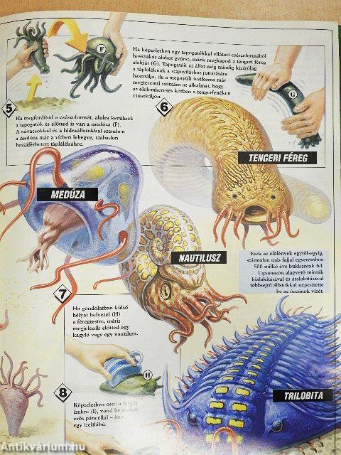 Élő Világ 1995/3.