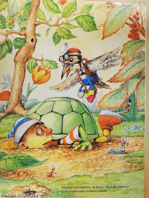 A teknősbéka bánata