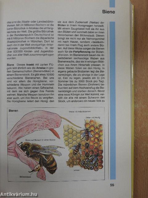 Das farbige Kinderlexikon