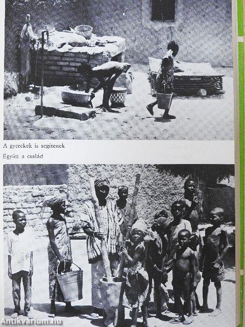 A titokzatos Niger