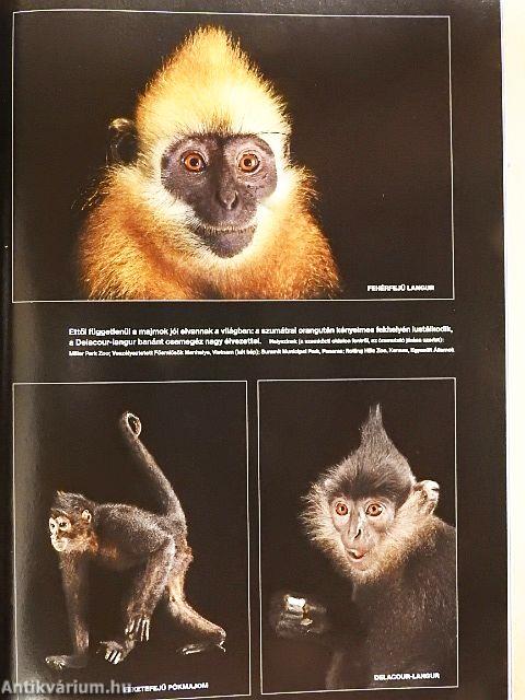 National Geographic Magyarország 2016. június