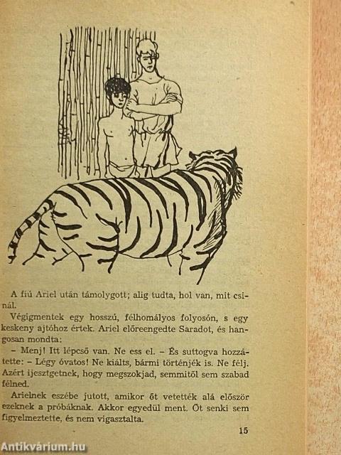 A repülő ember