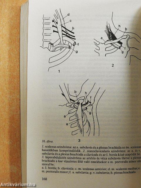 Gyakorlati reumatológia