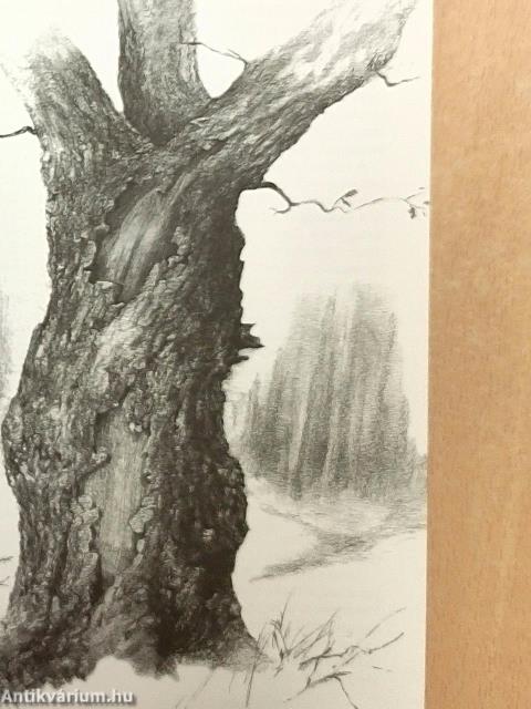 Távcsővel a nyakamban