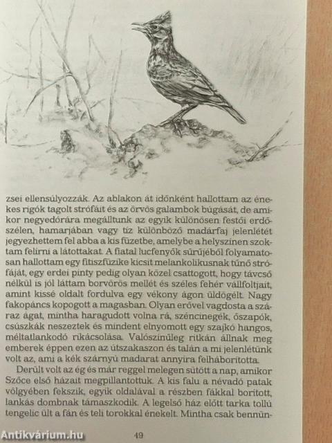 Távcsővel a nyakamban