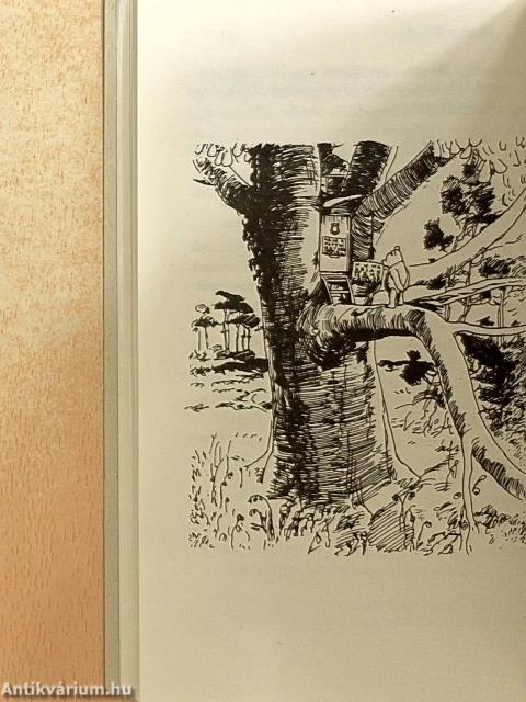 Micimackó és a tao