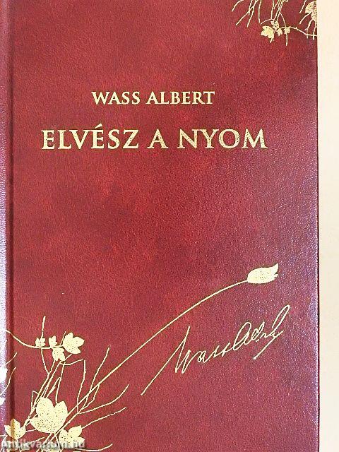 Elvész a nyom